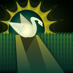 Swan on the Field of Green