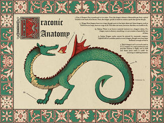 Draconic Anatomy